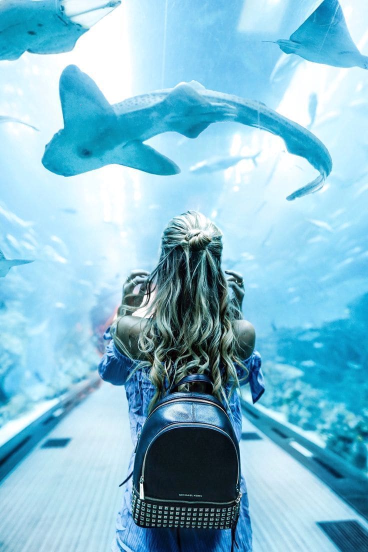 Dubai Aquarium and Underwater Zoo — Dubai Mall