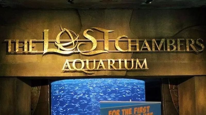 Lost World Aquarium Dubai — Atlantis The Palm, Палм-Джумейра, Дубай