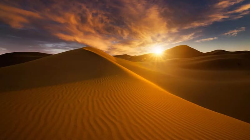 Desert Safari with Al Faqaa Camp — Al Faqaa desert camp