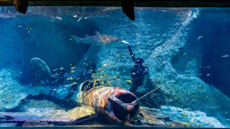 National Aquarium Abu Dhabi — Al Qana, Абу-Даби