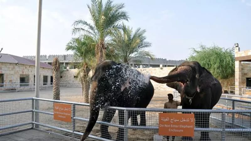 Emirates Park Zoo Abu Dhabi — Al Bahia, Abu Dhabi