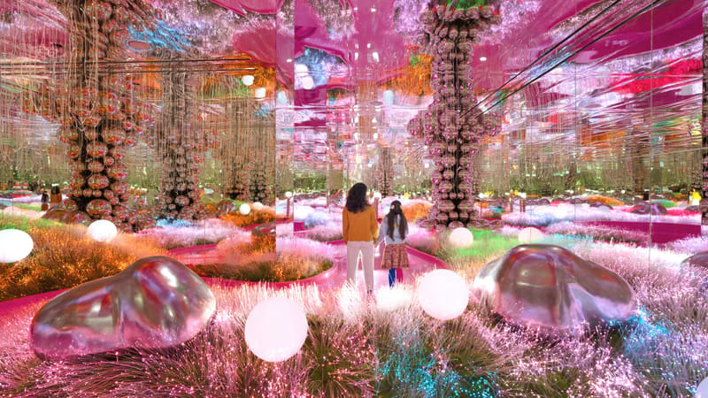 House of Hype Dubai — Dubai Mall area